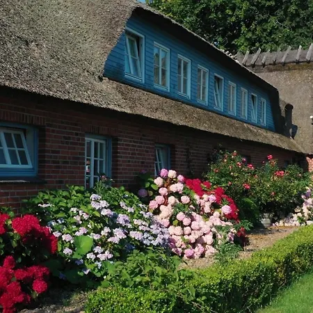 Apartman Strandhaus Falshoeft 2 Nieby (Nieby, Schleswig-Flensburg)